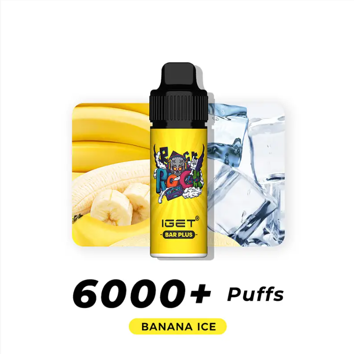 IGET Bar Plus Flavours 6000 Puffs