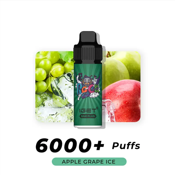 IGET Bar Plus Flavours 6000 Puffs