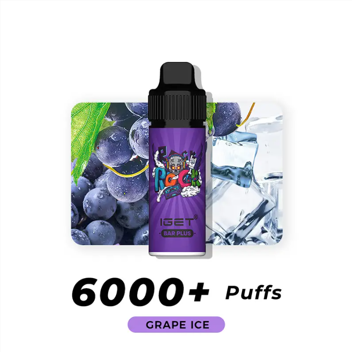 IGET Bar Plus Flavours 6000 Puffs