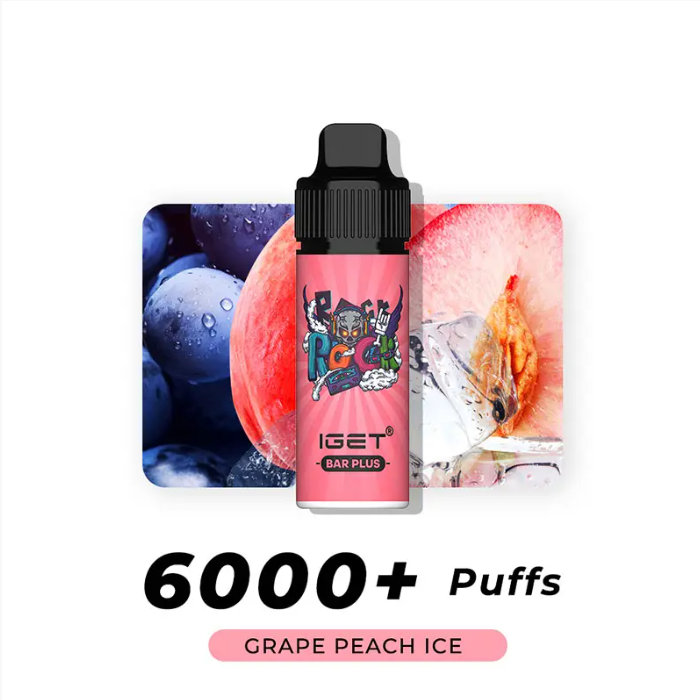 IGET Bar Plus Flavours 6000 Puffs