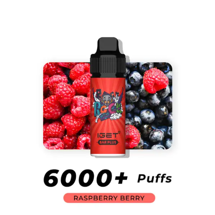 IGET Bar Plus Flavours 6000 Puffs
