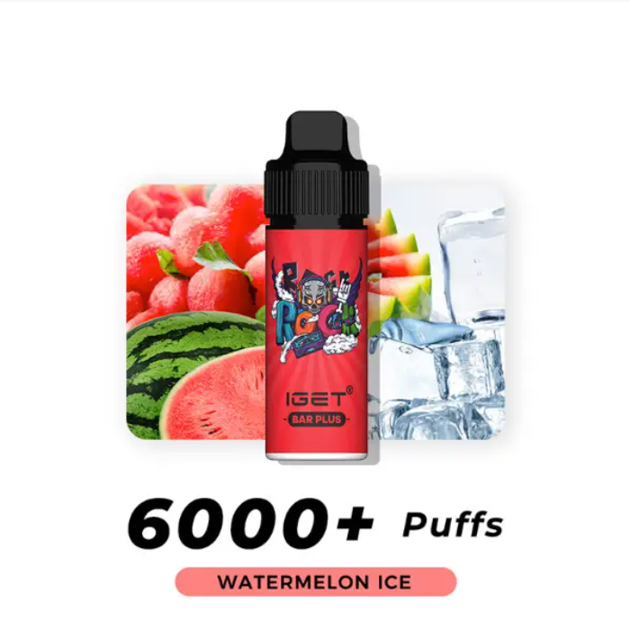 IGET Bar Plus Flavours 6000 Puffs